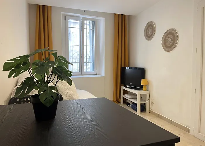 Studio Equipe Confort Proche De Toutes Commodites